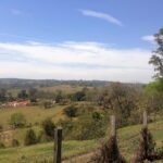 emerson ferreira20230820 114138