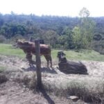 emerson ferreira20230820 114145