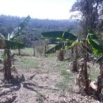 emerson ferreira20230820 114335