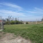 emerson ferreira20230820 114536