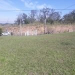 emerson ferreira20230820 114626