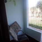 emerson ferreira20230820 114949