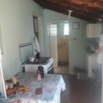 emerson ferreira20230820 115044