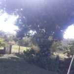 emerson ferreira20230820 115219