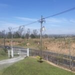 emerson ferreira20230820 120419