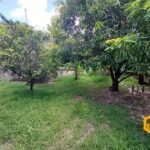 emerson ferreira2026 001