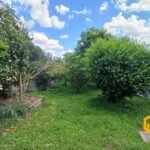 emerson ferreira2026 002 1