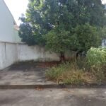 emerson ferreira2026 013