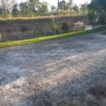 emerson ferreiraWhatsApp Image 2023 08 20 at 12.04.37