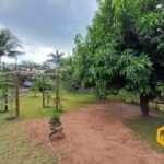 emerson ferreira001 10