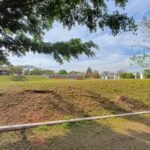 emerson ferreira001 14