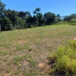 emerson ferreira001 25