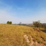 emerson ferreira001 6