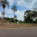 emerson ferreira001 7