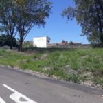 emerson ferreira001 8