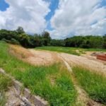 emerson ferreira002 1