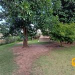 emerson ferreira002 10