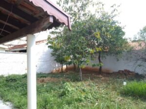 emerson ferreira002 17