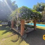 emerson ferreira002 8