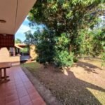 emerson ferreira003 15