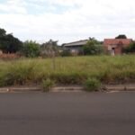 emerson ferreira003 21