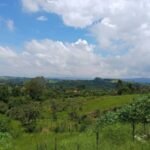 emerson ferreira003 4