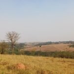 emerson ferreira003 7