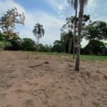 emerson ferreira003 8