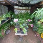 emerson ferreira004 10