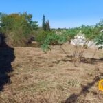 emerson ferreira004 12