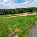 emerson ferreira004 2