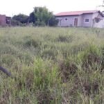 emerson ferreira004 21