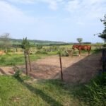 emerson ferreira004 26