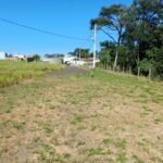 emerson ferreira004 27