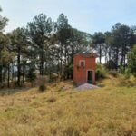 emerson ferreira004 7