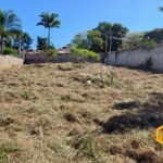 emerson ferreira005 12