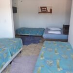 emerson ferreira005 14