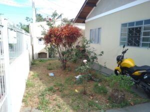 emerson ferreira005 16