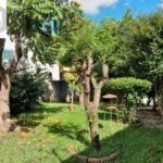 emerson ferreira005 18