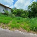 emerson ferreira005 2