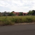 emerson ferreira005 21