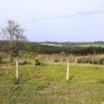 emerson ferreira005 26