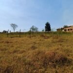 emerson ferreira005 7