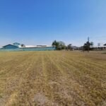 emerson ferreira006 10