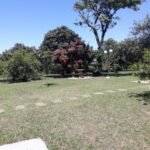 emerson ferreira006 11