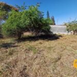 emerson ferreira006 12