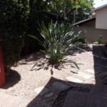 emerson ferreira006 18