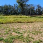 emerson ferreira006 27