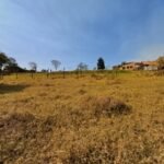 emerson ferreira006 7