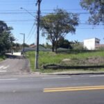 emerson ferreira006 9